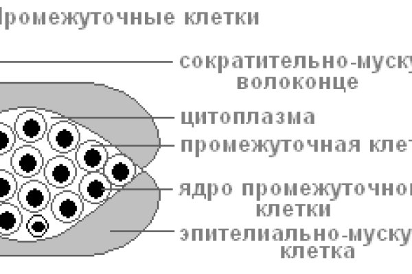 Кракен ссылка онион зеркало