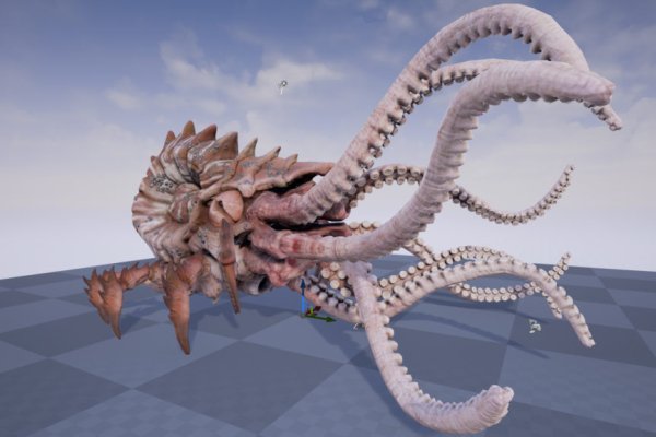Kraken 6at