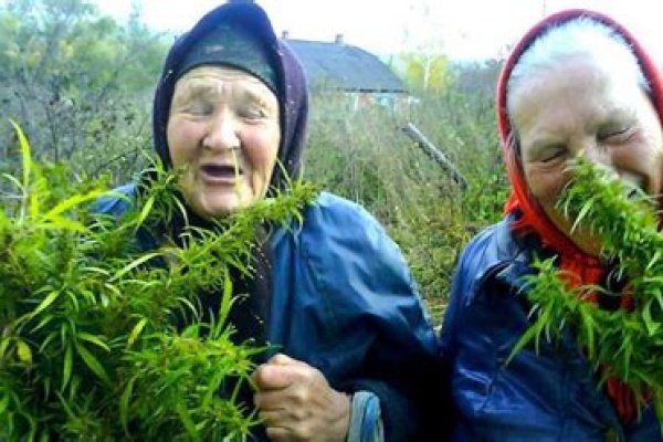 Кракен маркетплейс ссылка телеграмм