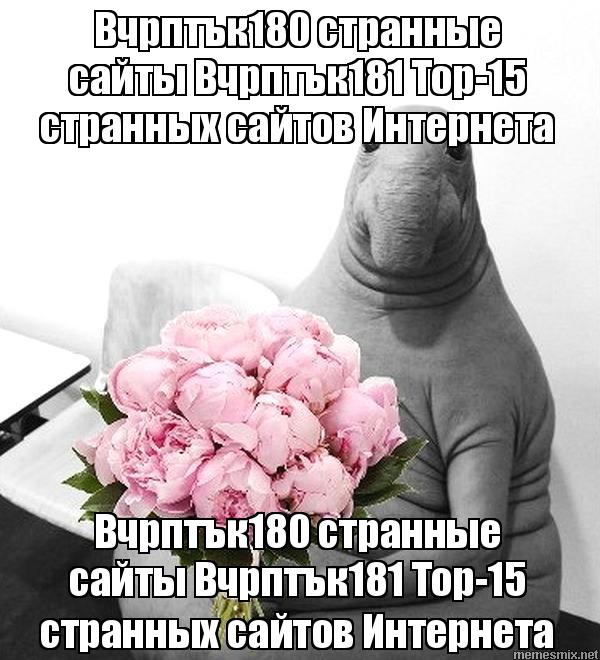 Кракен 17 точка ат